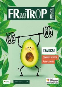 Miniature du magazine Magazine FruiTrop n°283 (mercredi 28 septembre 2022)